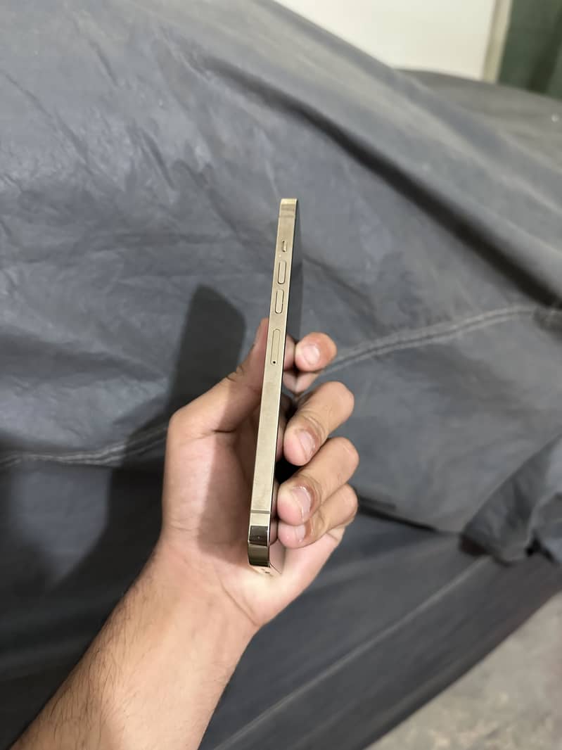Apple iPhone 13 Pro Max 2