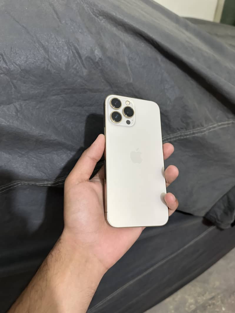 Apple iPhone 13 Pro Max 3