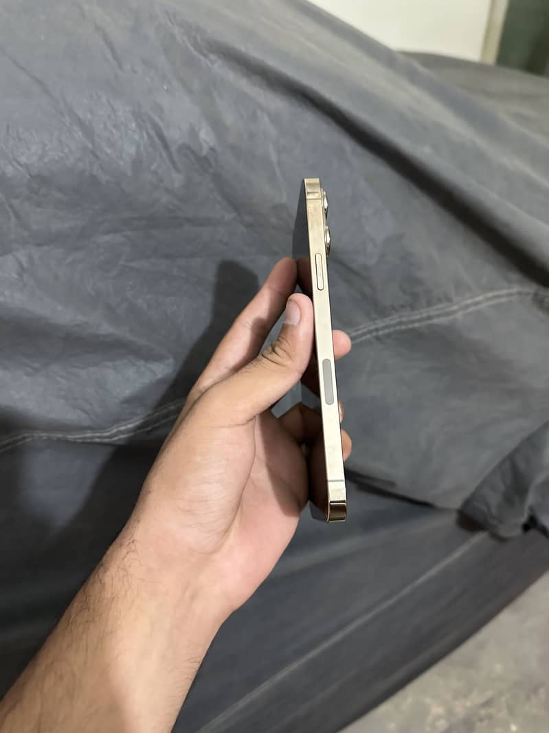 Apple iPhone 13 Pro Max 4