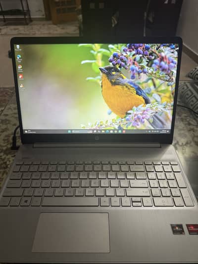 hp 15 ryzen 5 5500U 8gb ddr4 256gb ssd