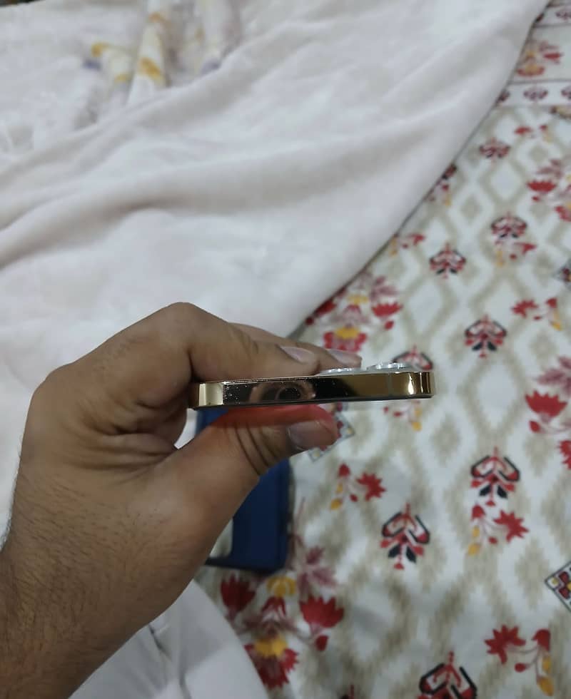 Apple iPhone 12 pro max 0