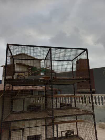 cage for birds