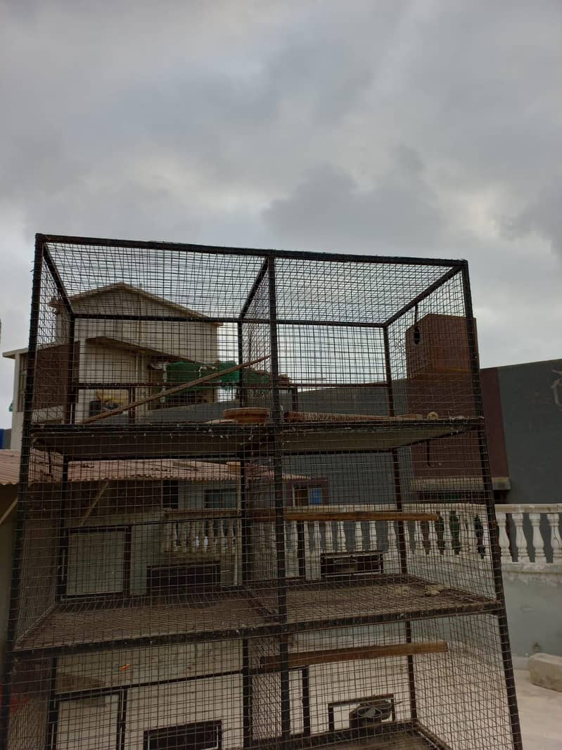 cage for birds 1