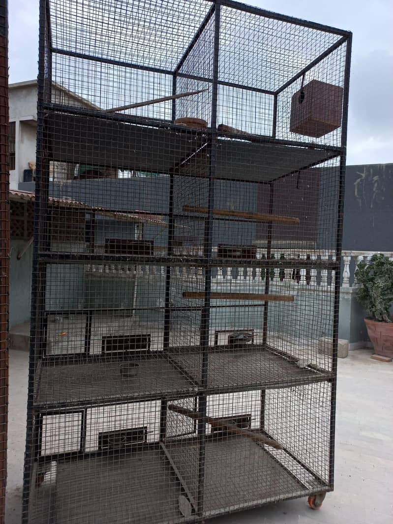 cage for birds 2