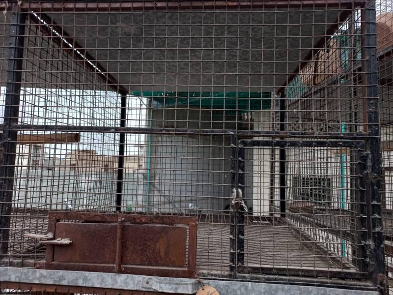 cage for birds 3