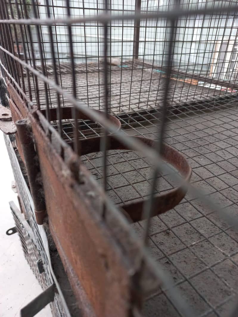 cage for birds 4