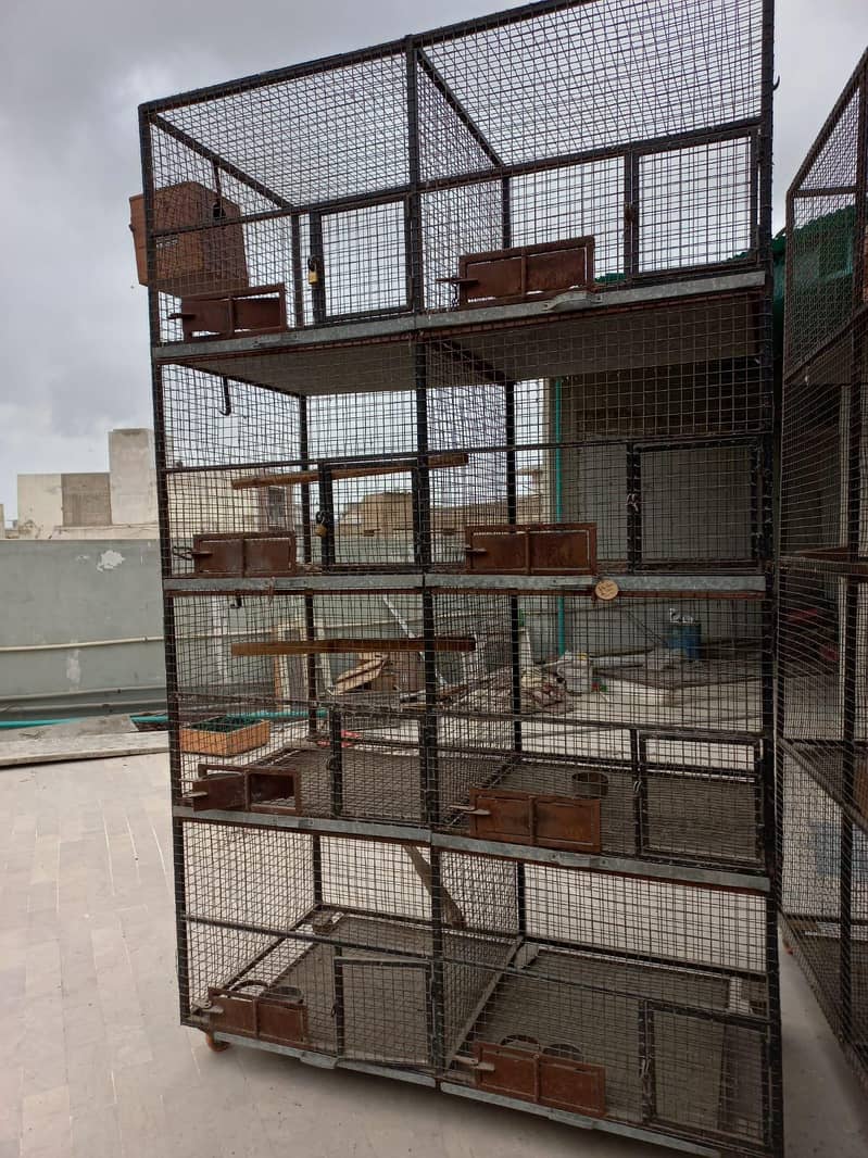 cage for birds 6