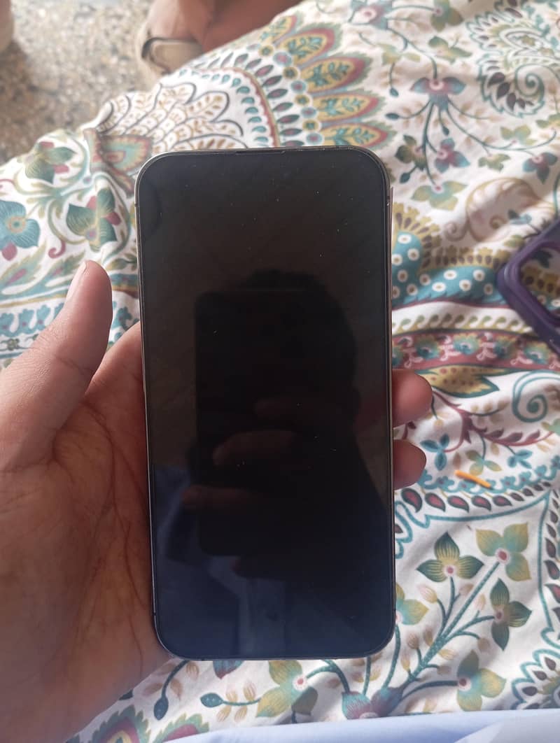 Apple iPhone 14 Pro Max 1