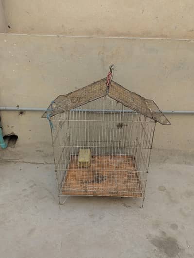 bird cage