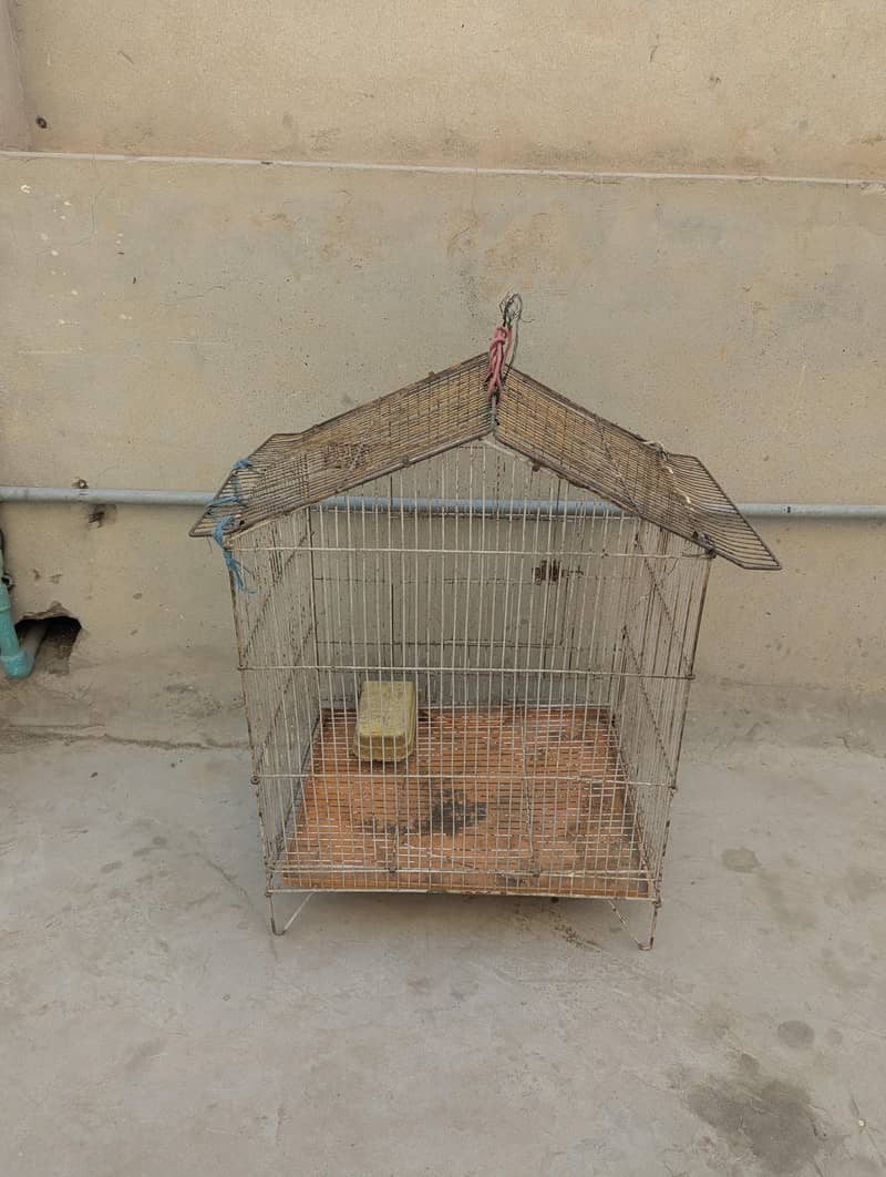 bird cage 0