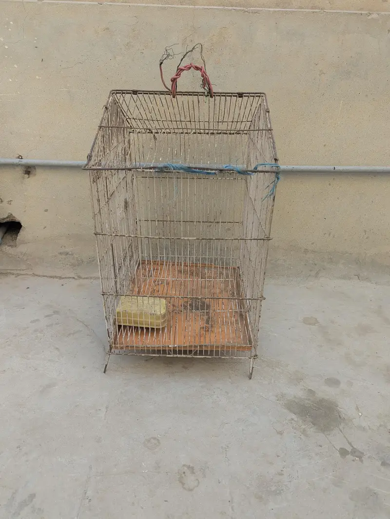 bird cage — photo 2