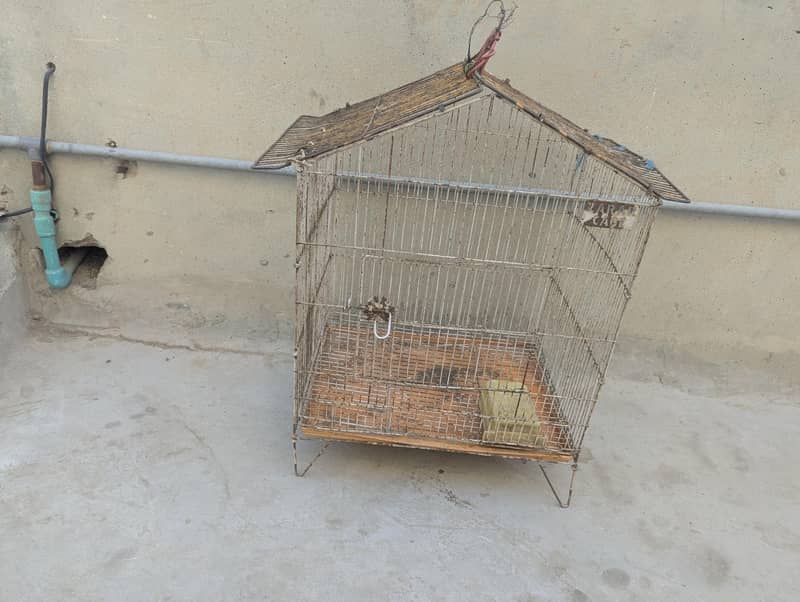 bird cage 2