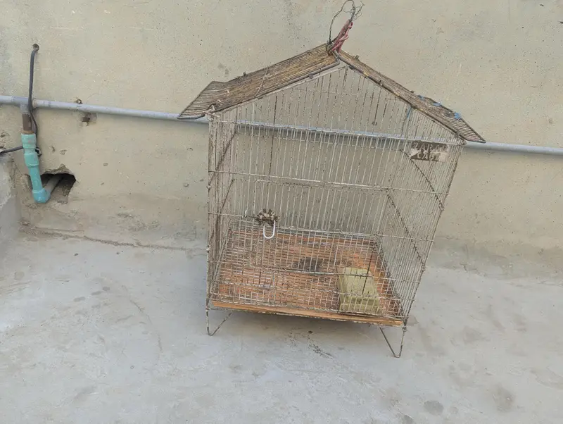 bird cage — photo 3
