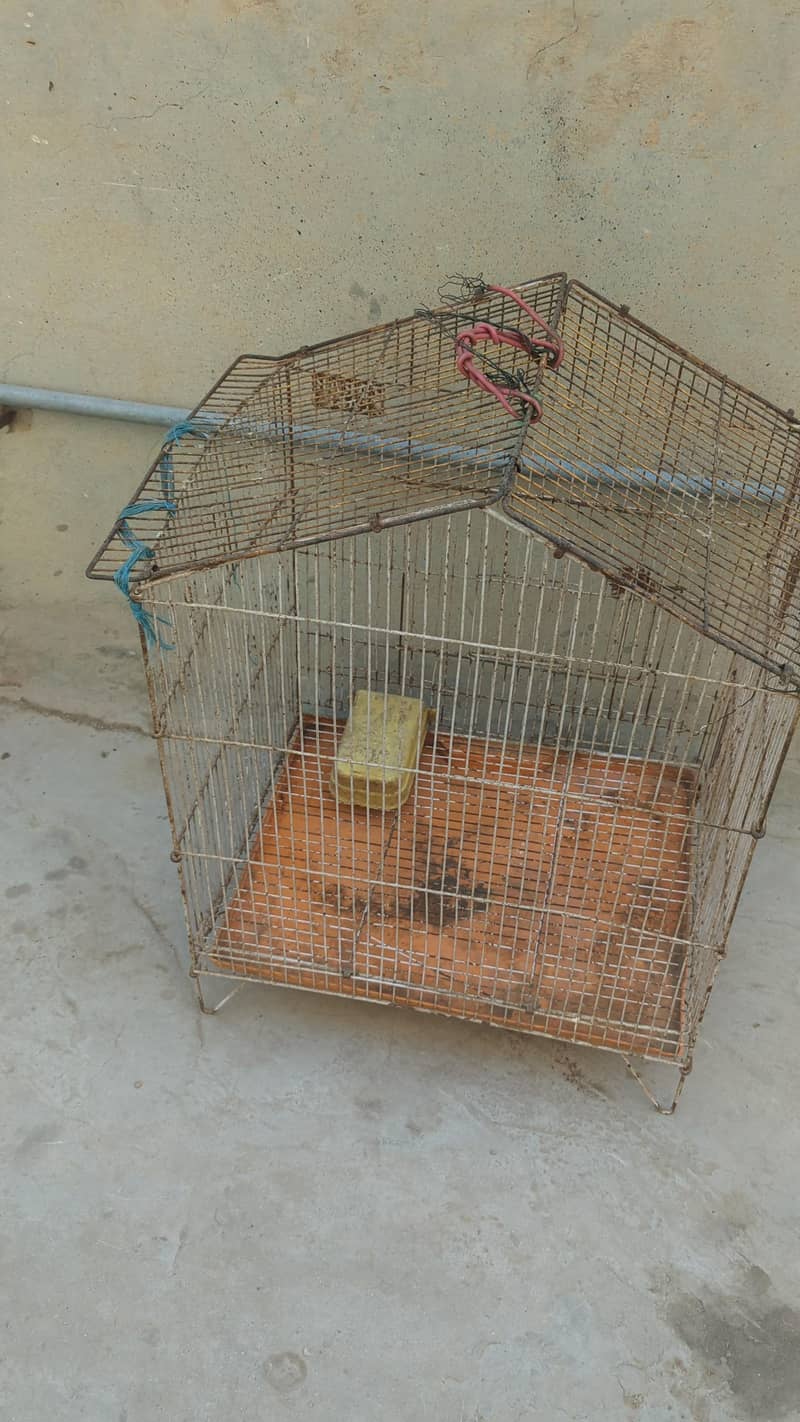 bird cage 3