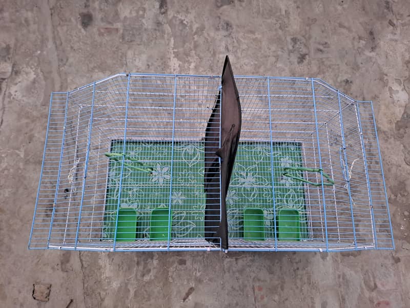 Crown Cage 1