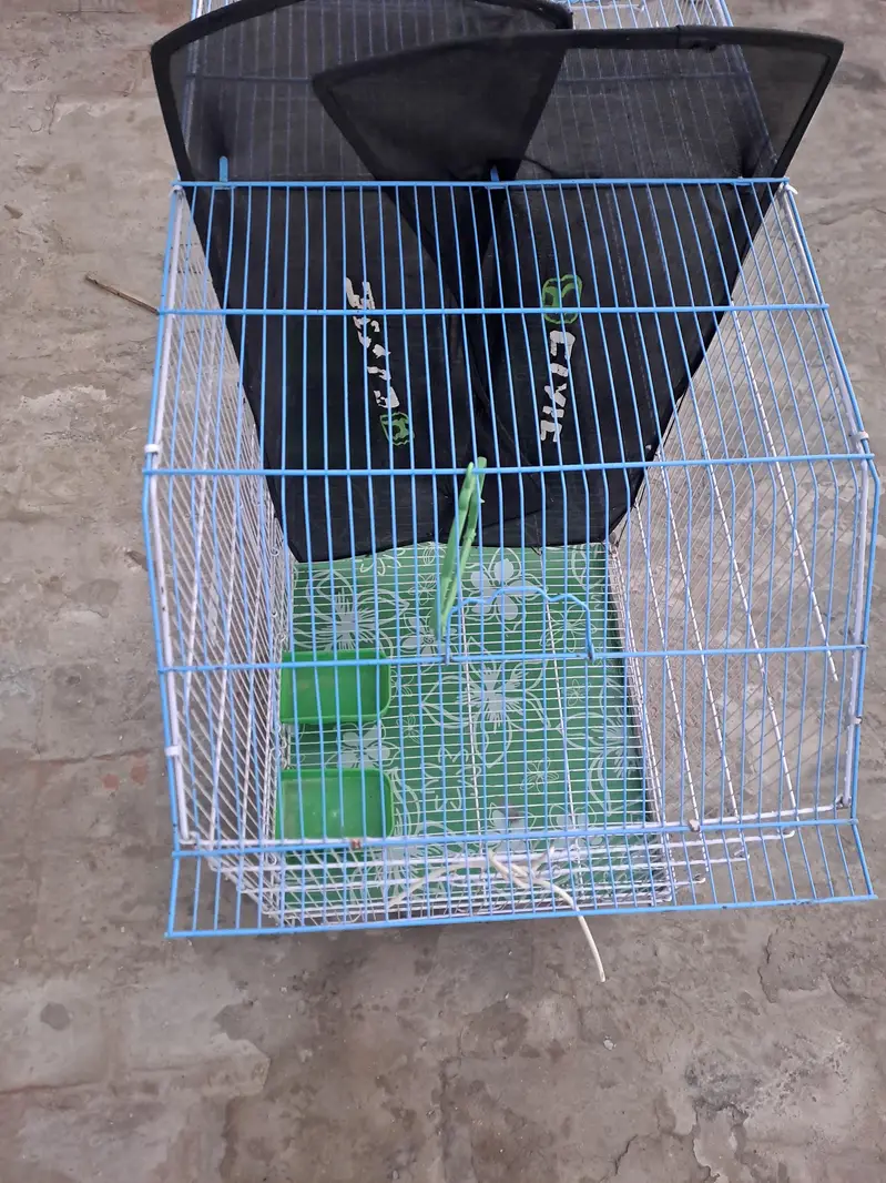 Crown Cage — photo 3