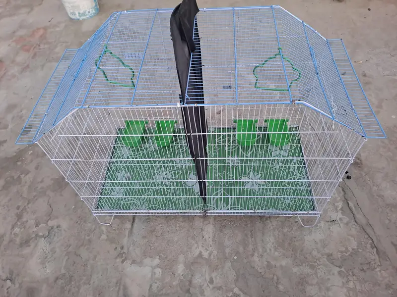 Crown Cage — photo 5