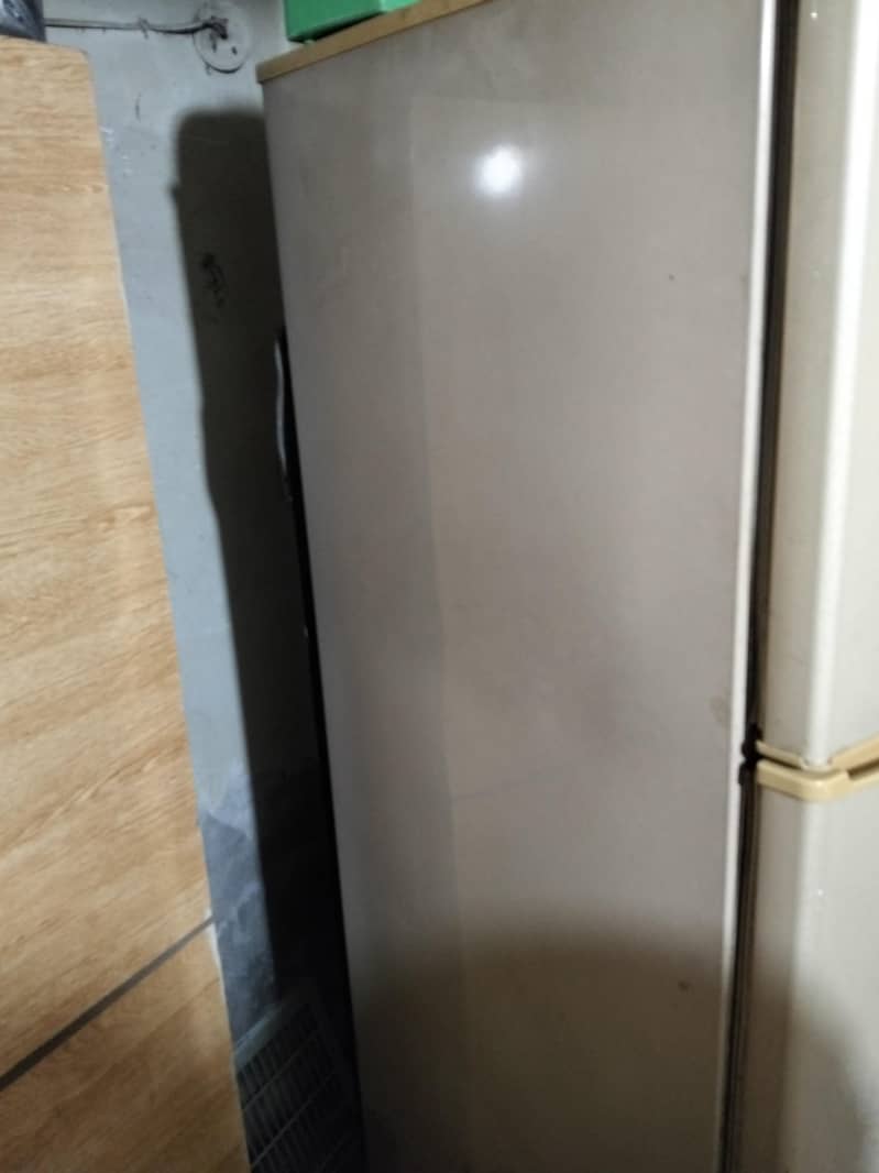 Pel Refrigrator Fridge 1