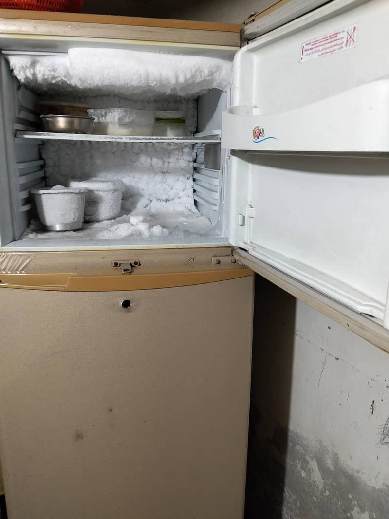 Pel Refrigrator Fridge 3