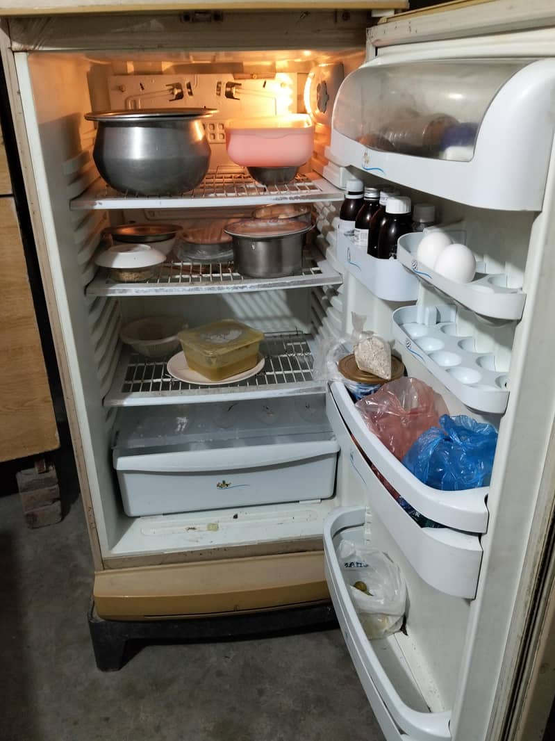 Pel Refrigrator Fridge 4