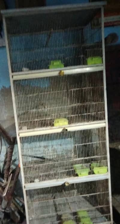 Birds cage avabile