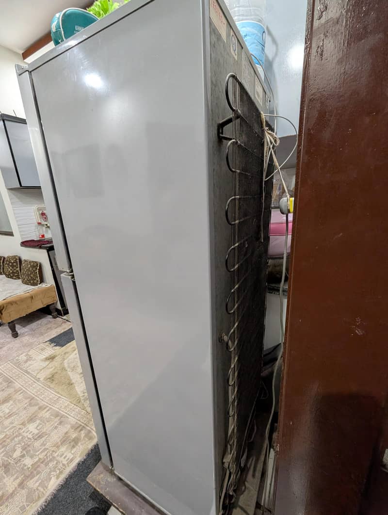 Pel Refrigerator 7