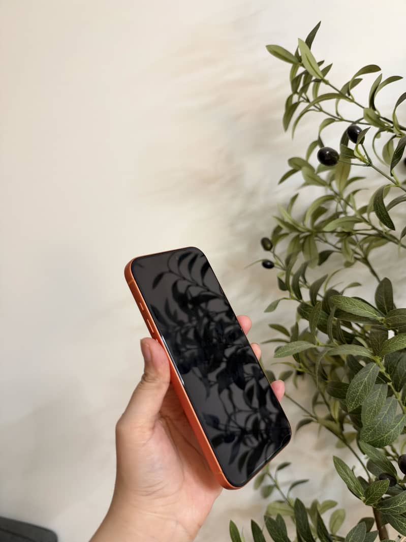 Apple iPhone 17 Pro Max 2