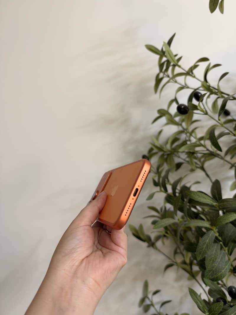 Apple iPhone 17 Pro Max 3