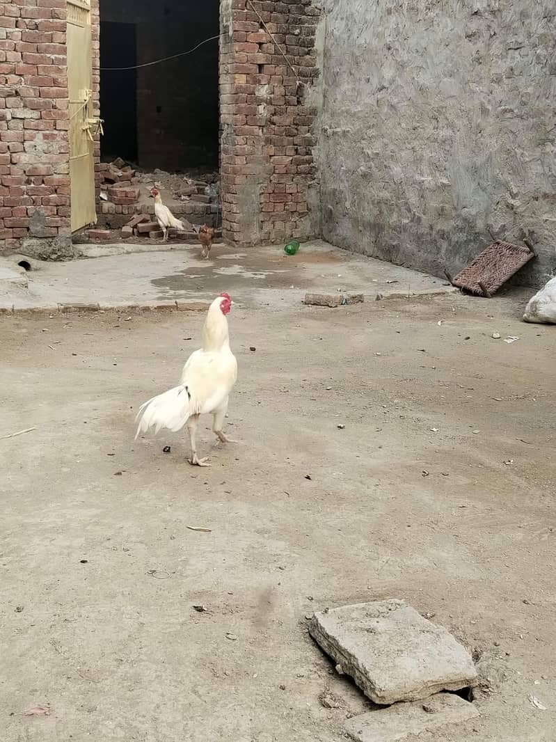 ouuuuuu 2