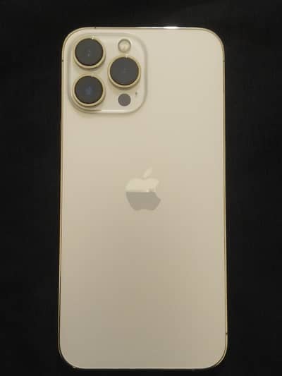 Apple iPhone 13 Pro Max