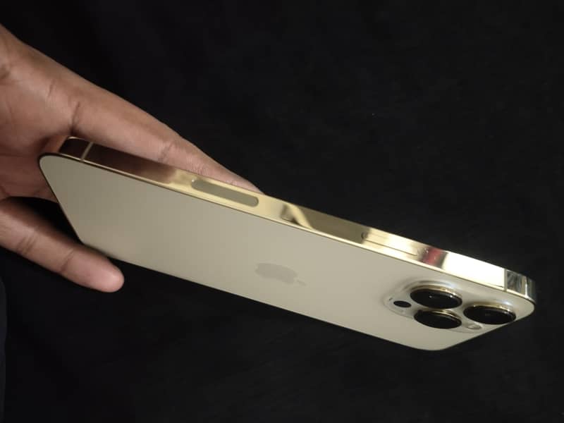 Apple iPhone 13 Pro Max 2