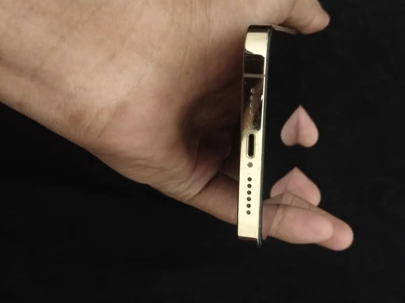Apple iPhone 13 Pro Max 3