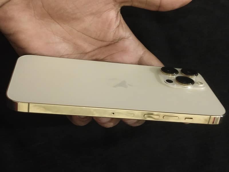 Apple iPhone 13 Pro Max 5