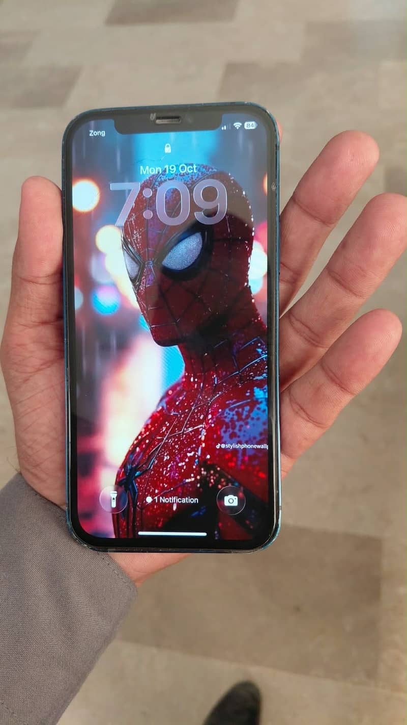 Apple iPhone 12 1