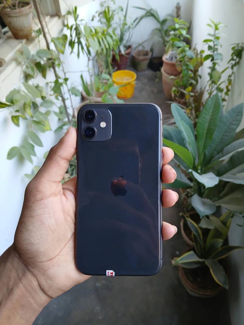 Apple iPhone 11 0