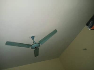 Ceiling Fan for Sale