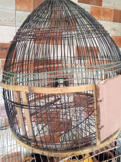 Cage for sale in cheap price