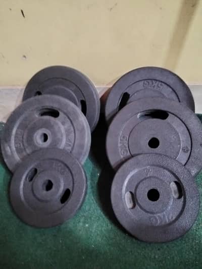Gym weight plates with steel bar