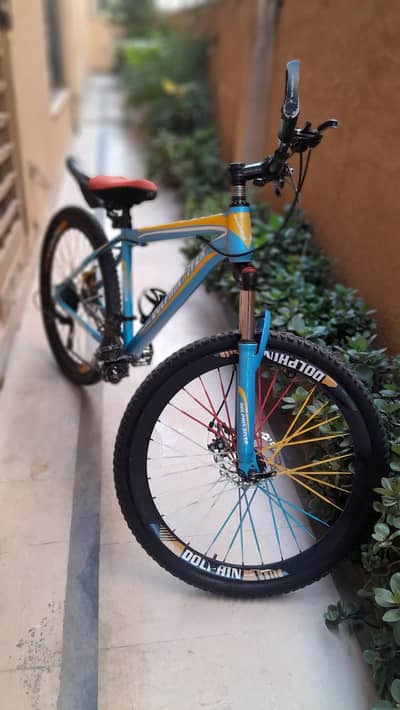 Imported Dolphin River Bicycle
