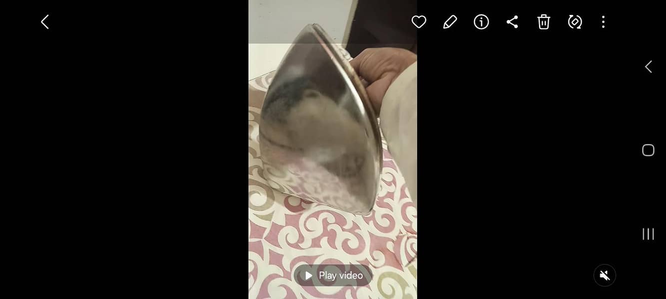 Electric iron 1