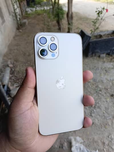 Apple iPhone 12 Pro Max
