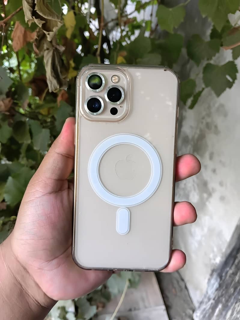 Apple iPhone 12 Pro Max 1