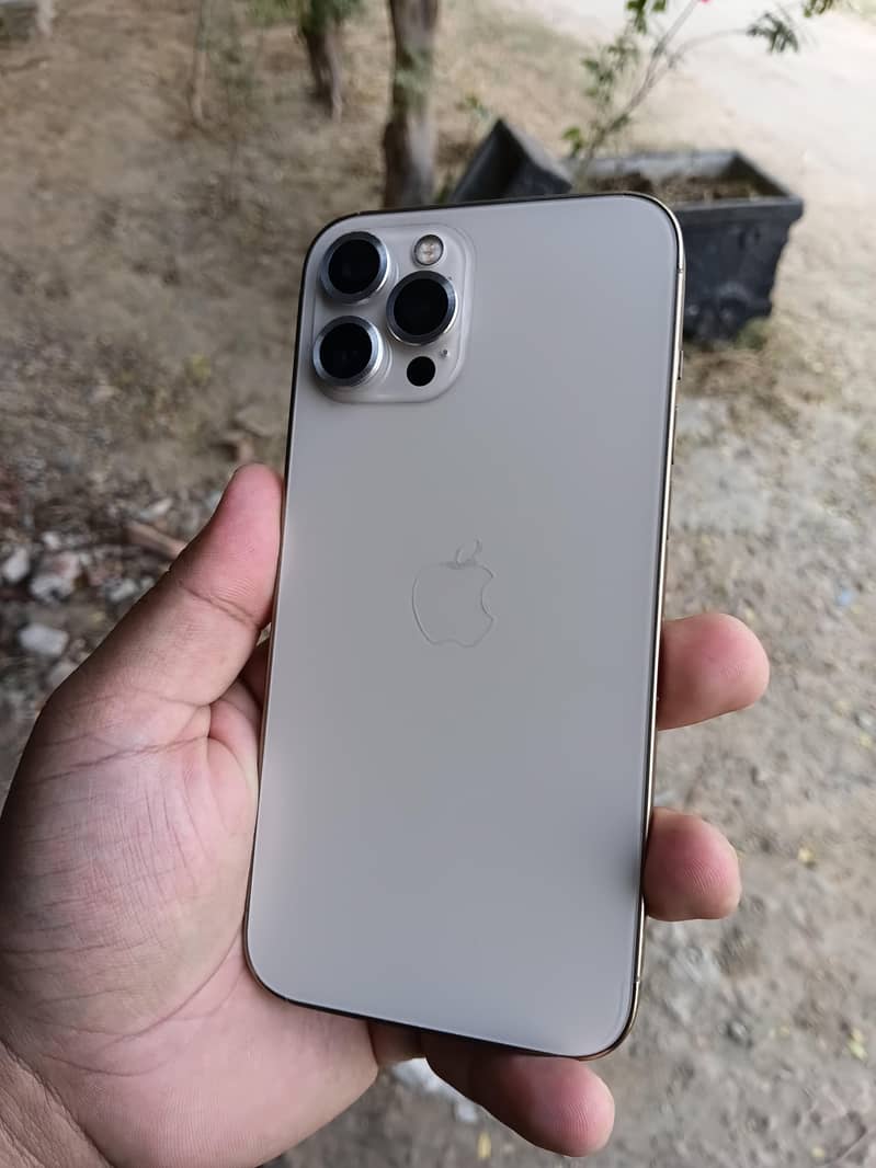 Apple iPhone 12 Pro Max 2