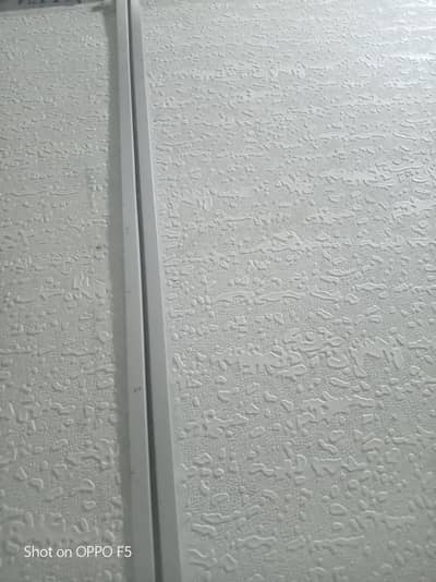 roof siling
