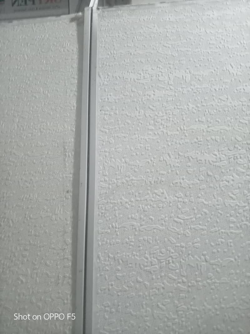 roof siling 1