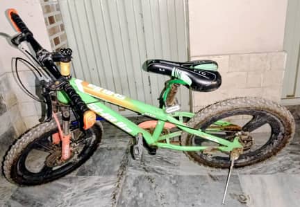 Kids Green Mountain Style Bicycle
