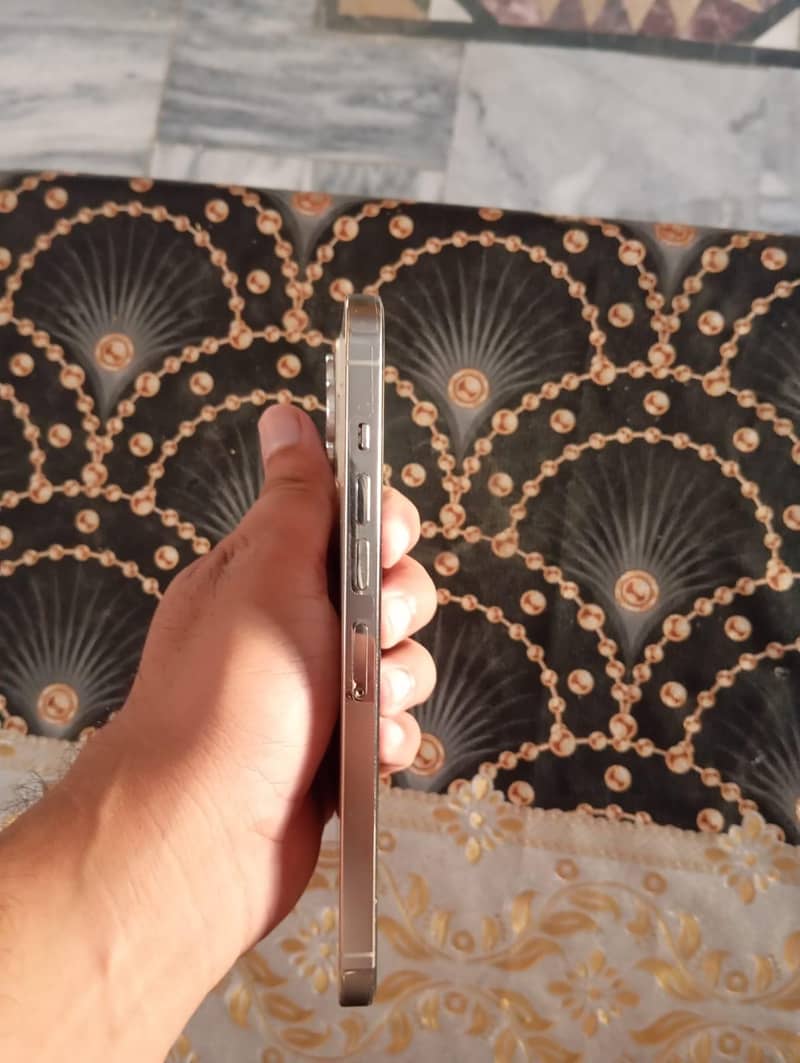 Apple iPhone 13 Pro Max 4