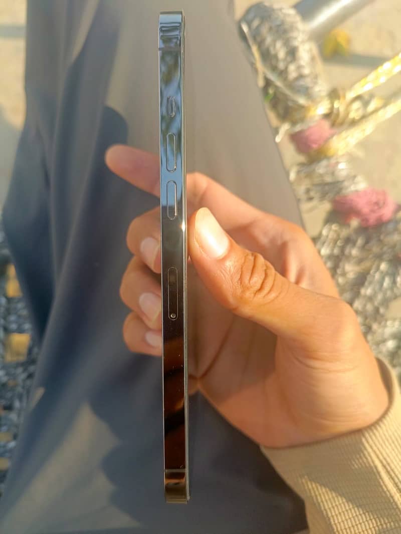 Apple iPhone 12 Pro Max 2