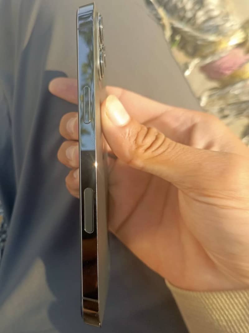 Apple iPhone 12 Pro Max 3