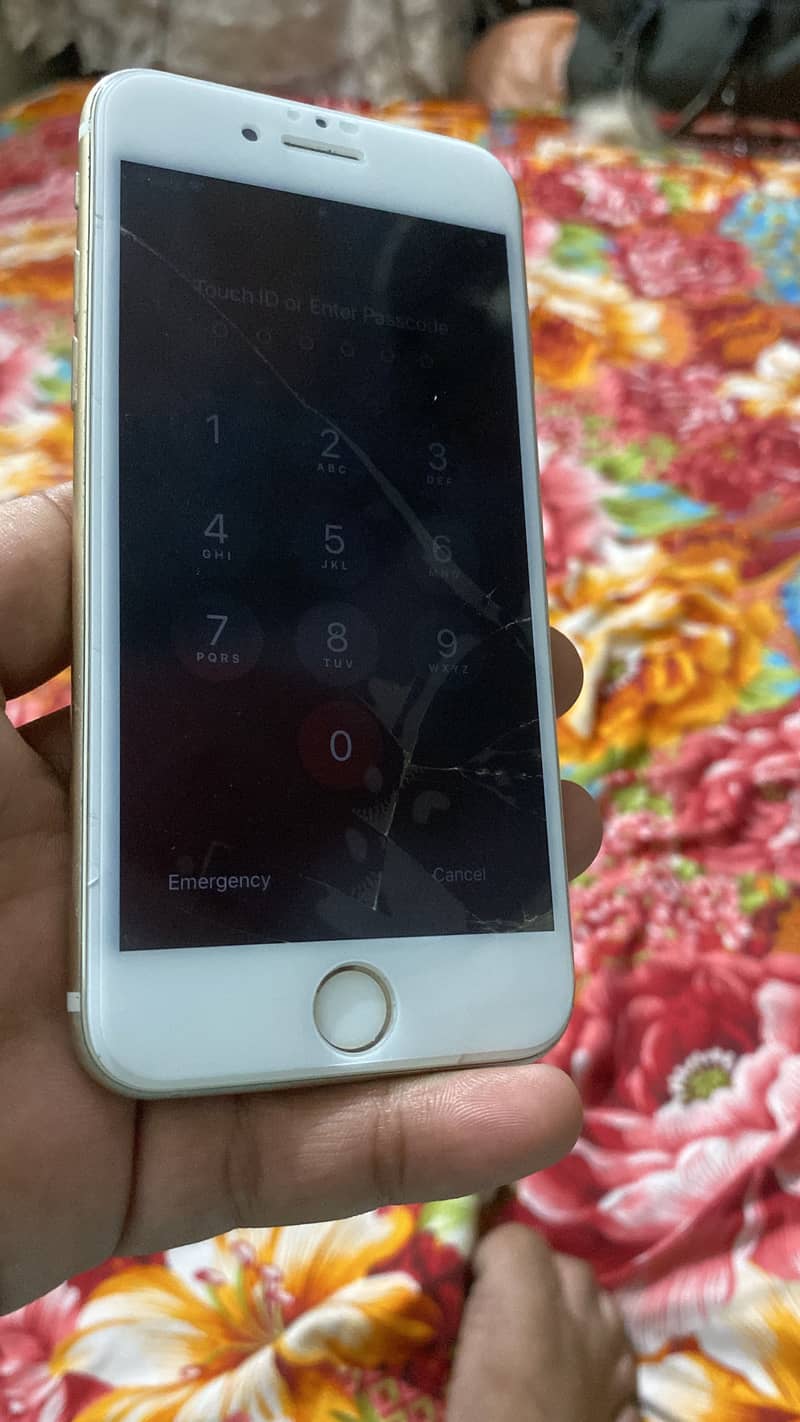 Apple iPhone 7 1
